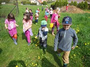 Pleteme věnečky z pampelišek